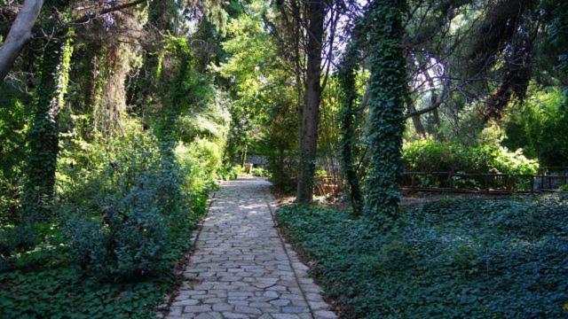Greek Hospitality 2 Apartment Athens Ngoại thất bức ảnh